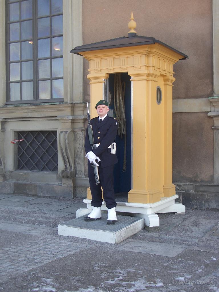 15-49 IMGP1781.JPG